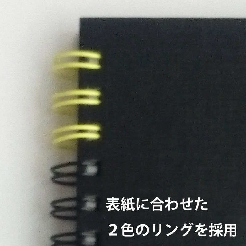 Maruman S314-05 F4 Art Spiral Sketchbook, Thick Drawing Paper, Black,