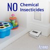 TERRO Spider & Insect Trap T3206-10 - Pack of 10
