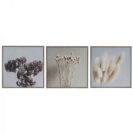 Amalfi Dried Arrangement Series Wall Décor Set/3 Natural/White 40x5x40cm