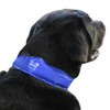 Arf Pets Dog Cooling Collar, 100% Non-Toxic Material, Relieves Heat