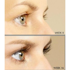Dermaworks Spectaculash Wimpernserum – NEU EXTRA GROSS 8 ml – Schnelles Wimpernwachstumsserum – Wachstum und Dichte – Wachsen Sie lange Wimpern – Natürliche Verbesserung und Verdickung