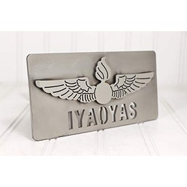 Custom Hitch Covers 12734-Stainless Steel Navy Aviation Ordnance IYAOYAS Hitch Cover, 2"