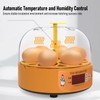 Egg Incubator 6 Eggs Smart Egg Hatchery Temperature Control Manual