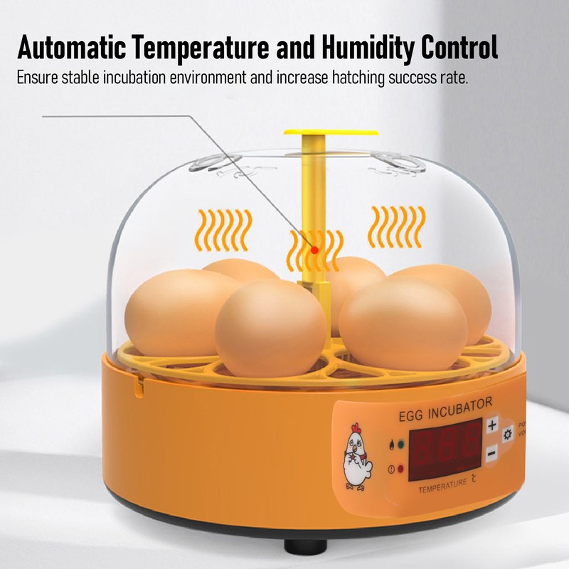 Egg Incubator 6 Eggs Smart Egg Hatchery Temperature Control Manual