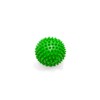 Pack of 5 Massage Balls with Nubs, Nub Balls, Hedgehog
