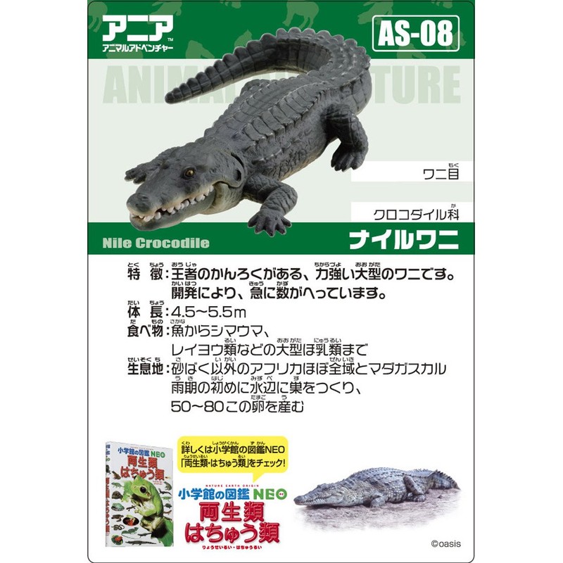Ania AS-08 Nile crocodile