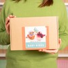Bergin & Bath Needle Felting Kit Baby Birds - Adult