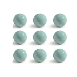 ECOFT Pesas y plomos de Pesca para Huevos, plomos de cañón, Varios tamaños, 10 g a 200 g en Bolsa y Pesos de Pesca, Caja surtida, Tiro para Agua Dulce Salada