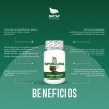 Alga Spirulina, 100 Cápsulas, Calidad Premium Natural