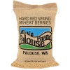 Palouse Brand Red Spring Wheat Berries 5 lbs Bag