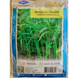 Airplane Chinese Water Spinach Convolvulus Thai Morning Glory Seeds