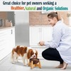 Dog Bowl for Cats and Small Dogs - All-Natural, Polished