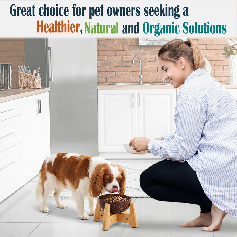 Dog Bowl for Cats and Small Dogs - All-Natural, Polished