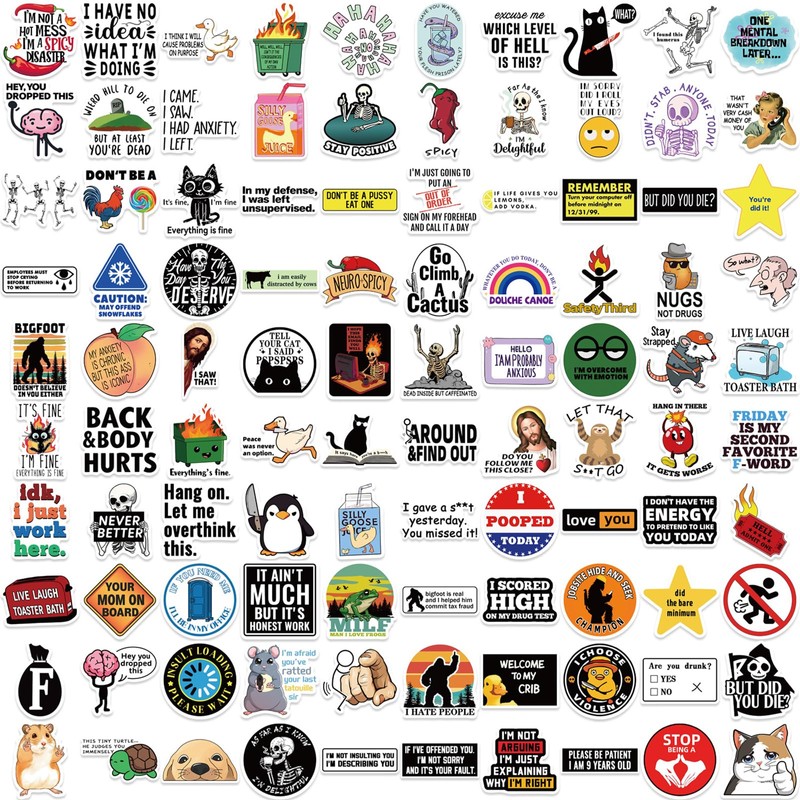 100pcs Funny Stickers for Adults, Prank Meme (Dirty) Hilarious Sticker