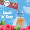 Crystal Light Raspberry Green Tea Naturally Flavored Powdered Drink Mix,