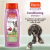 Hartz Groomers Best 3 in 1 Conditioning Shampoo for Dogs