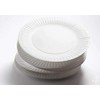 Paper Plates 9 inch/23cm - Pack of 100, Disposable Plates,