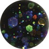 ミラージュ カラーパウダー N/CG-6 7ｇ アクリルパウダー デカラメたっぷり元気なビビッドカラー
