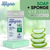 T.Taio Esponjabon Soap Sponge Variety Pack Shower Scrubber Bathroom Accessories