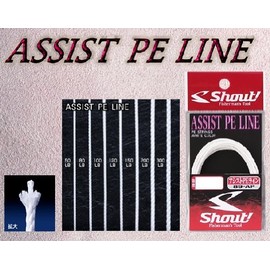シャウト! 89-AP アシストPEライン 200Lb
