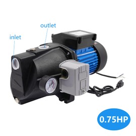 DYNAMI 110V 0.55kw 3420rpm Shallow Well Pump with Pressure Switch,184ft Lift Portable Water Pump Garden Pump Draining Irrigation Pump,for Garden Lawn Irrigation (0.75HP w/Pressure Switch)