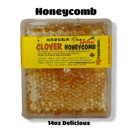 NATURZ BEEZ RAW HONEY COMB 14oz 400g 100% PURE NATURAL HONEY CLOVER HONEYCOMB