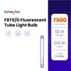 lumenivo FL8D Replacement Bulb 8 Watt 12 Inches Fluorescent Tube