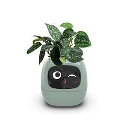 TPHRAVAL Intelligent Flower Pot, Electronic Bud, Maintenance Plant Assistant, Fun Interactive Flower Pot, Indoor Green Planting Monitoring, LCD Screen Display, Cell Phone APP Connection (Green)