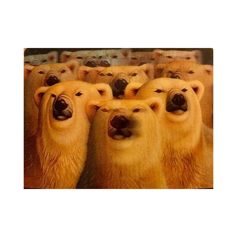3-D Lenticular Wildlife Trading Card Set - Bear-Frog-Wolf