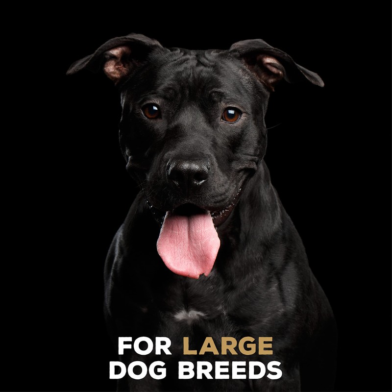 Tasty Bone LTBCT2015 Nylon Bone Chew Toy, Large