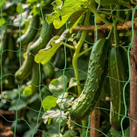 Trellis Netting For Climbing Plants - MAQIHAN 2 PCS Garden Trellis Netting Plant Support Netting Heavy Duty Climbing Net Trellis For Cucumber Tomato Grape Vegetable Fruits Bean Climbing Plants Outdoor