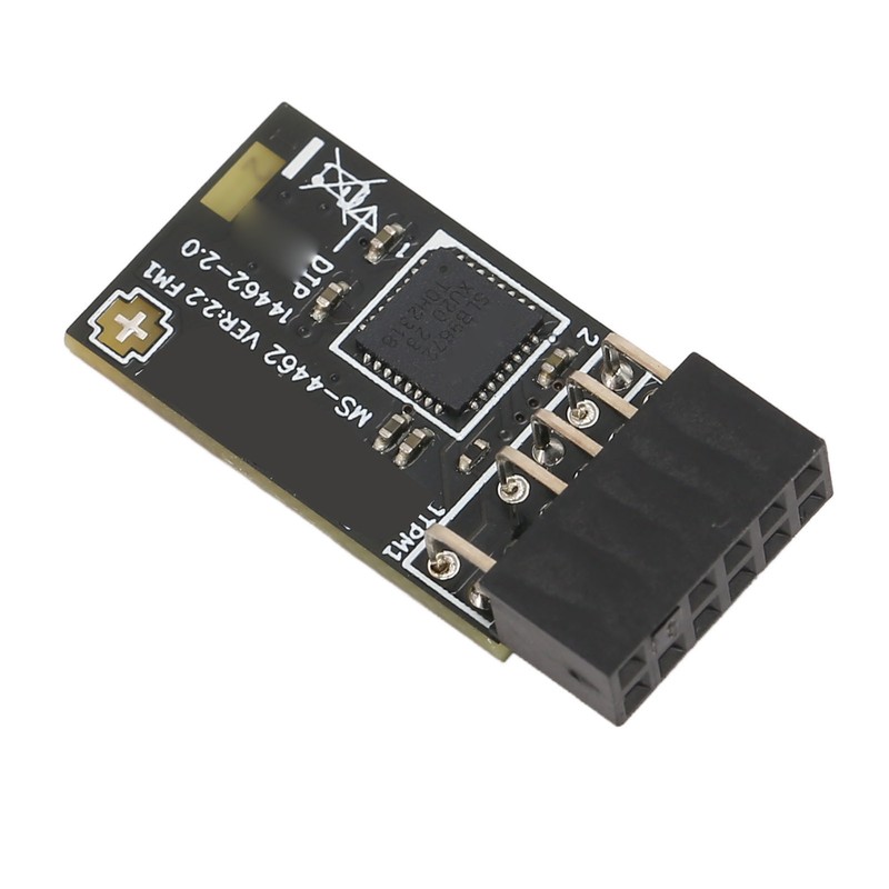 TPM2.0 Module TPM SPI 12Pin Encryption Security Module with SLB