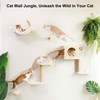 FUKUMARU Cat Wall Shelves, 5-Piece Stable Wooden Wall-Mounted Furniture Set,