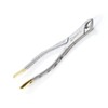 Premium German Gold Dental Extracting Extraction Forceps #151-Lower Bicuspid, Lower