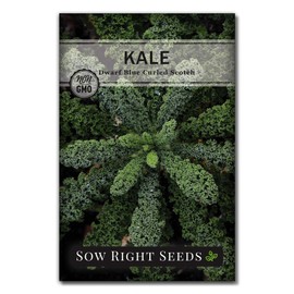 Sow Right Seeds - Dwarf Blue Curled Scotch Kale Seed for Planting - Non-GMO Heirloom Packet with Instructions to Plant a Home Vegetable Garden, Great Gardening Gift (1)