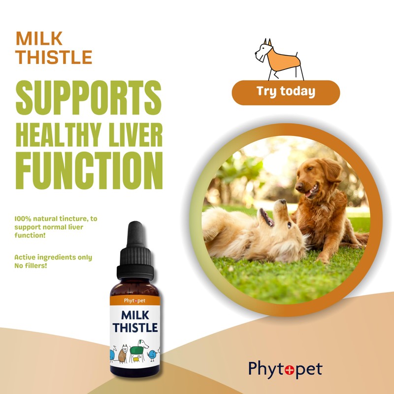 Phytopet Milk Thistle Tincture | 100ml | Liver & Gallbladder