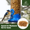 Kingsyard Upgraded Bluebird Feeder for Outdoors Hanging, Metal Mealworm Tube
