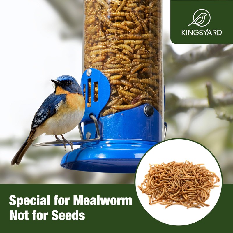 Kingsyard Upgraded Bluebird Feeder for Outdoors Hanging, Metal Mealworm Tube