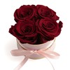 Rosmarie Schulz Heidelberg Rose Box, White Round Infinity Rose, Flower