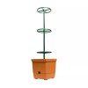Hydrofarm Self-watering planter Tower Tomato tree Expands to over 3-feet