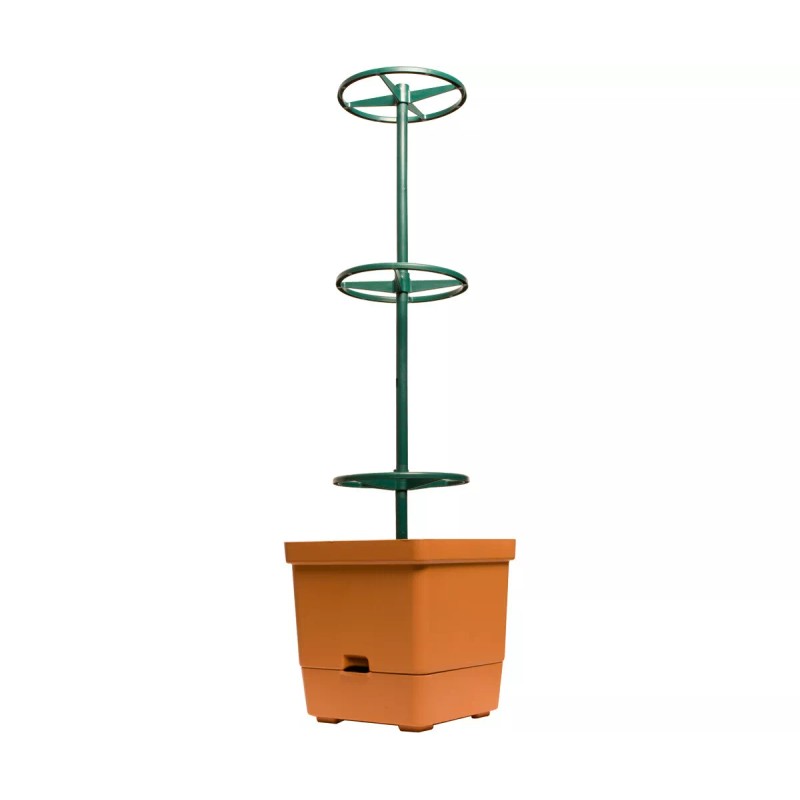 Hydrofarm Self-watering planter Tower Tomato tree Expands to over 3-feet