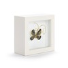 DEMDACO Wall or Tabletop Shadow Box, Everyday Home Décor, 4