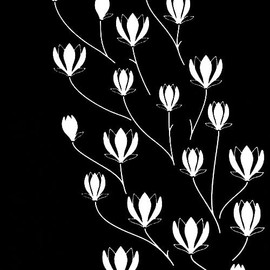 Somenoanobo Tenugui "Mokurun Black" Hand-dyed Cotton 100% Tokioka, Made in Japan, 13.8 x 39.4 inches (35 x 100 cm)