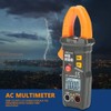 ANKROYU Digital Clamp Multimeter PEAKMETER PM2016A, 6000 Count AC/DC Voltage,