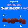 USDA Organic Elderberry Gummies for Kids | Immune Support Elderberry