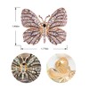 Gyn&Joy Womens Clear Crystal Rhinestone Butterfly Brooch