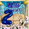 Light Blue Backdrops Curtains Party Decorations, Tinsel Streamers Birthday Decoration