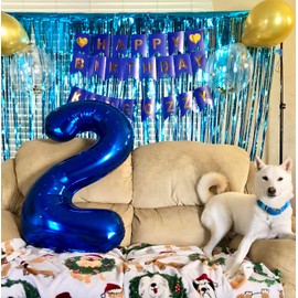 Light Blue Backdrops Curtains Party Decorations, Tinsel Streamers Birthday Decoration for Women Men, Photo Booth Props for Baby Shower, Graduation, Wedding, 2Pack 3.28X8.2Ft