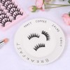 10 Pairs False Eyelashes, Dramatic Cartoon Eyelashes, Wet Look 16mm