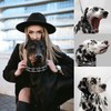 No Pull Dog Collar, Prong Collar for Small Medium Large
